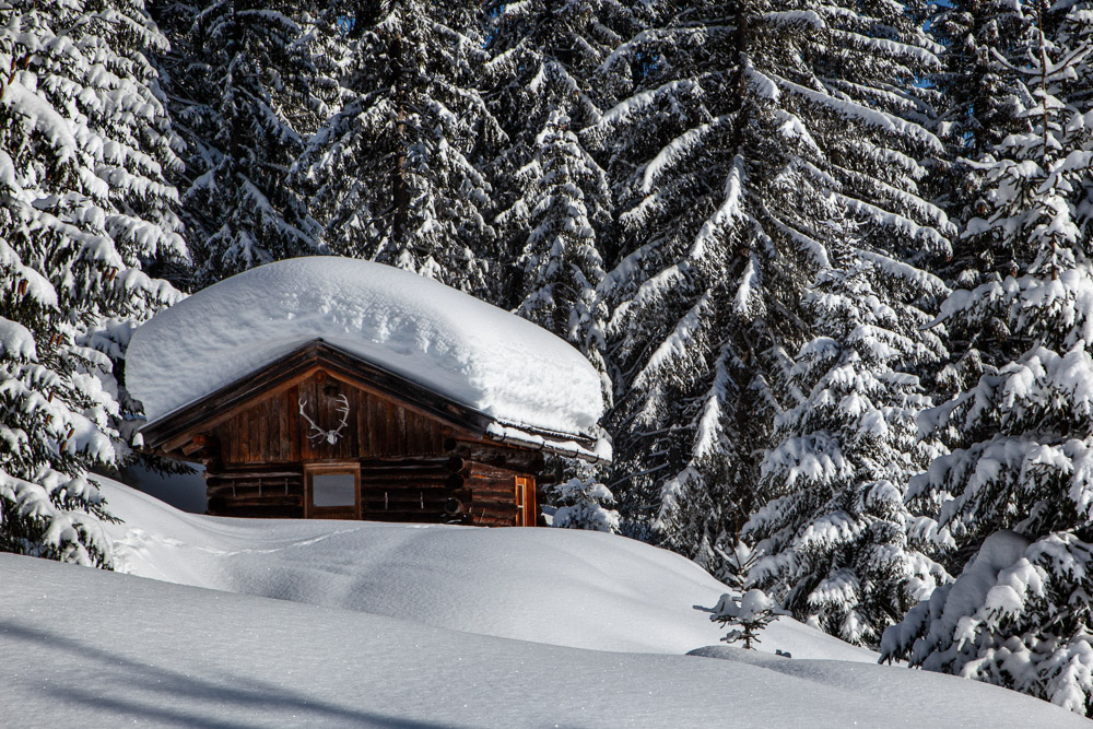 Platz 7 Josef Schafnitzel
